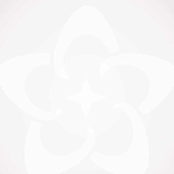 DDS 033 Price List Paper